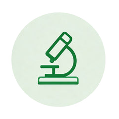 2017 - R&D Foundation
